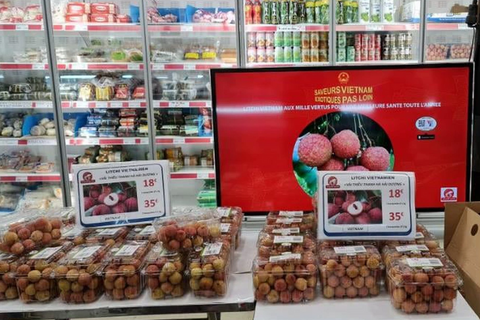 Thực thi EVFTA, kim ngạch thương mại Việt Nam - Pháp hướng đến 15 tỷ USD