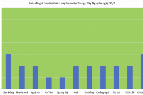 Giá heo hơi hôm nay 30/9/2025: 'Lặng sóng' trên toàn quốc