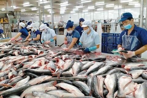 Bộ Công Thương đồng hành, xuất khẩu thủy sản tăng tốc nhờ FTA