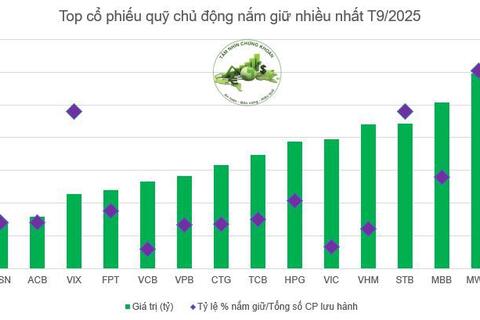 TOP 10 cổ phiếu được quỹ chủ động nắm giữ nhiều nhất tháng 9/2025
