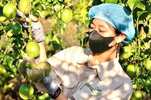 Gia Lai mở rộng hợp tác với Singapore, thúc đẩy xuất khẩu nông sản