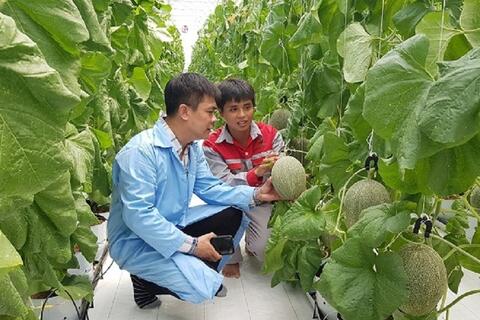 Sửa Nghị định 98: Tăng liên kết, nâng tầm nông sản, mở rộng xuất khẩu