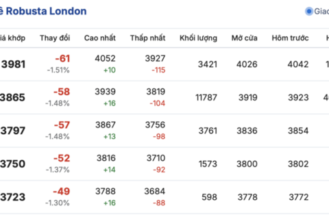 Giá cà phê hôm nay 17/12/2025: Tiếp tục giảm sâu