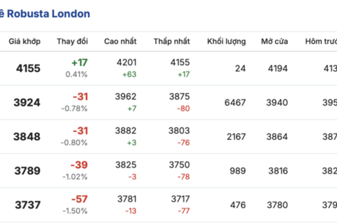 Giá cà phê hôm nay 16/1/2026: Biến động nhẹ