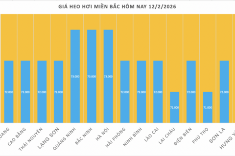 Giá heo hơi hôm nay 12/2/2026: Tiếp đà giảm đồng loạt trên toàn quốc
