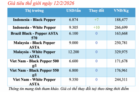 Giá tiêu hôm nay 12/2/2026: Giảm nhẹ tại Đắk Lắk