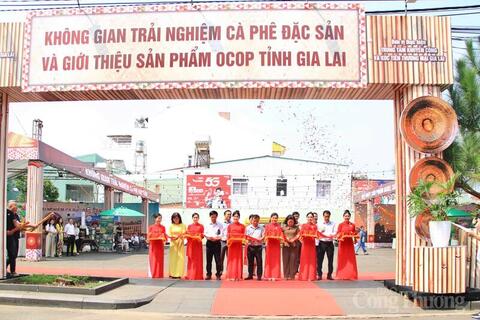 Gia Lai khai mạc không gian trải nghiệm cà phê đặc sản, sản phẩm OCOP