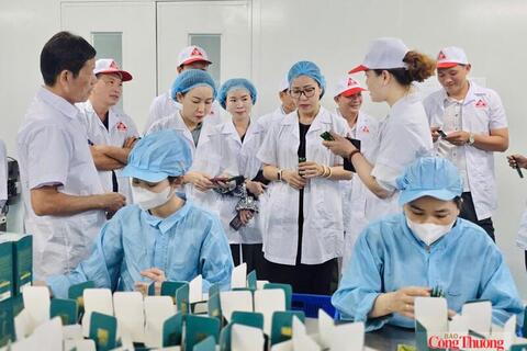 Gia Lai tích cực triển khai Nghị quyết 68 về kinh tế tư nhân