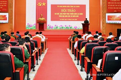 Lai Châu đặt mục tiêu phát triển 1.350 ha Sâm tại các xã biên giới
