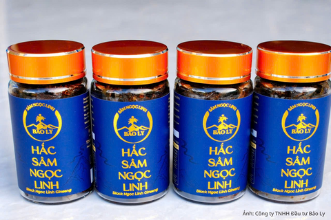 Sâm Ngọc Linh Bảo Ly: Lan tỏa giá trị dược liệu đến cộng đồng