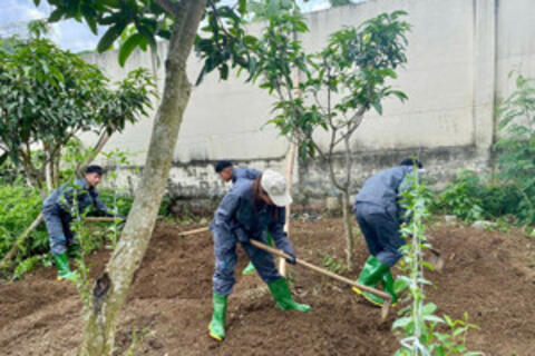 Sơn La đẩy mạnh đào tạo ngành Trồng trọt và Bảo vệ thực vật cho sinh viên