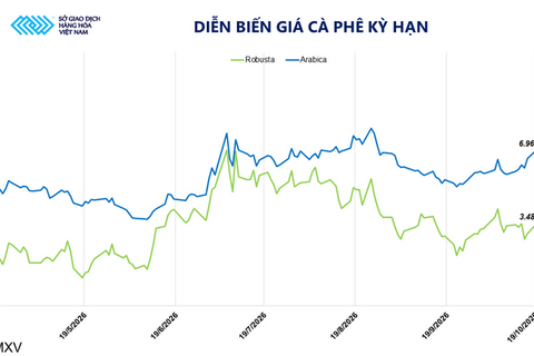 Giá cà phê tăng mạnh phiên thứ hai liên tiếp, đạt mốc 6.960 USD/tấn