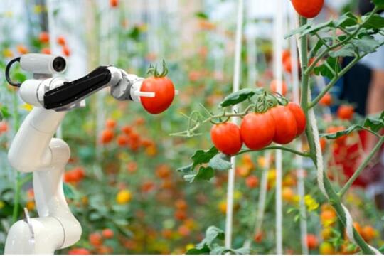 Robot nông nghiệp: Thông minh và thách thức