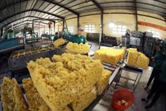 Xuất khẩu nông, lâm, thủy sản 6 tháng đạt gần 34 tỷ USD