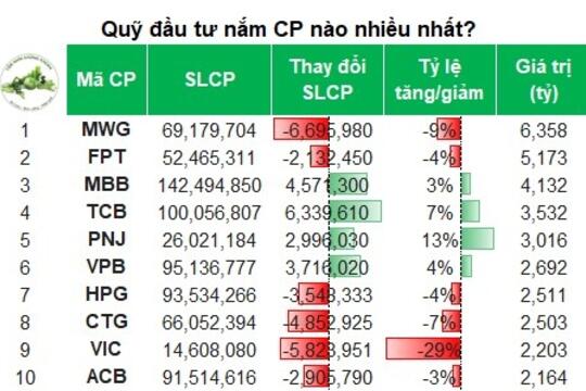 Ngân hàng và bán lẻ vẫn là trụ cột danh mục các quỹ tháng 01/2026