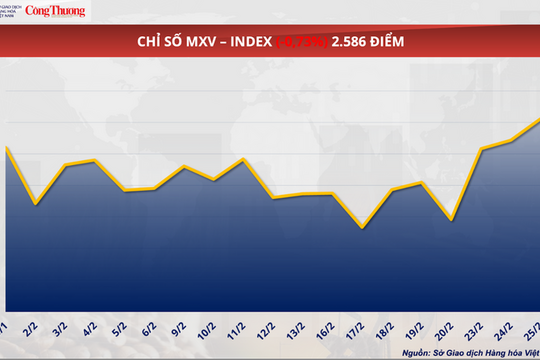 Giá đậu tương giảm nhẹ, lùi về mốc 427,5 USD/tấn