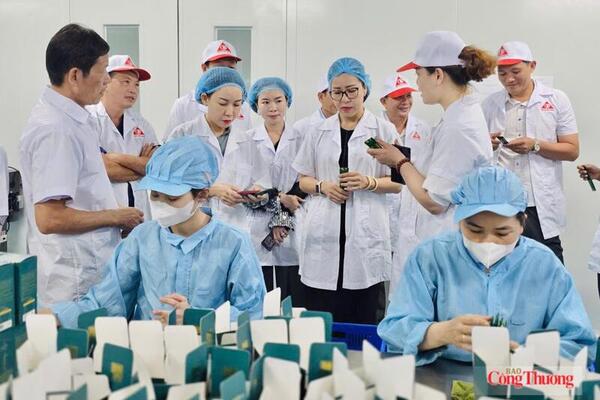 Gia Lai tích cực triển khai Nghị quyết 68 về kinh tế tư nhân