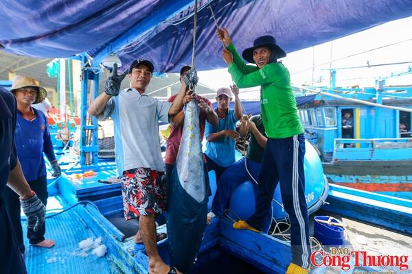 VIFTA mở thêm dư địa cho hàng Việt tại thị trường Israel