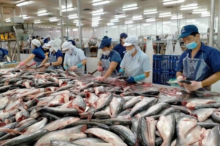 Xuất khẩu thủy sản tăng mạnh nhất ở thị trường Brazil
