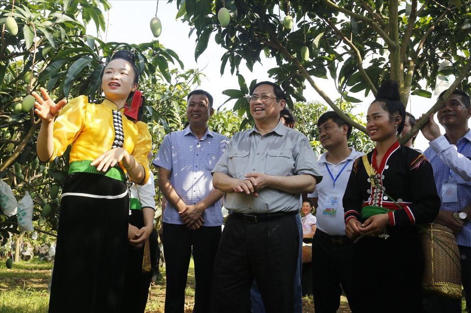 Sơn La đủ tiềm năng cho nền nông nghiệp hiện đại, phát triển bền vững