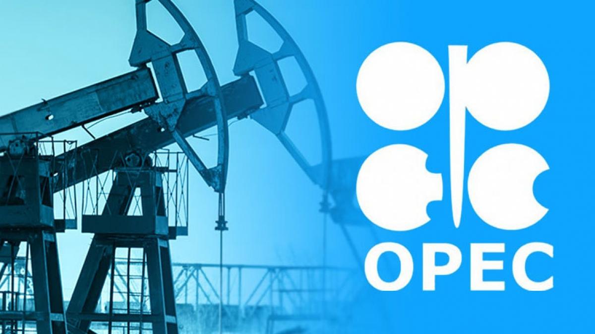 opec se nhom hop, viec cat giam san luong dau se duoc ban thao hinh anh 1