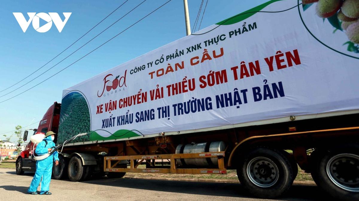 xuat sieu 9,4 ty usd trong 10 thang nhung chua het kho khan hinh anh 2