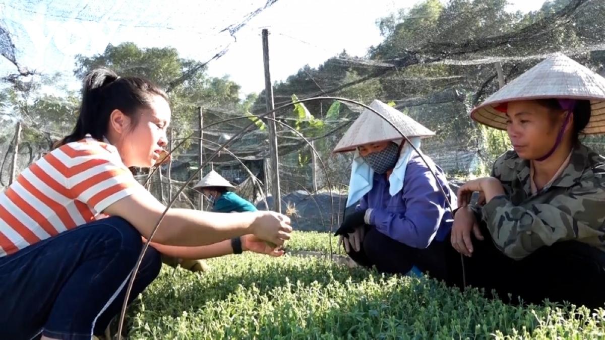 doanh nghiep mien nui day manh xuat khau nong san hinh anh 1