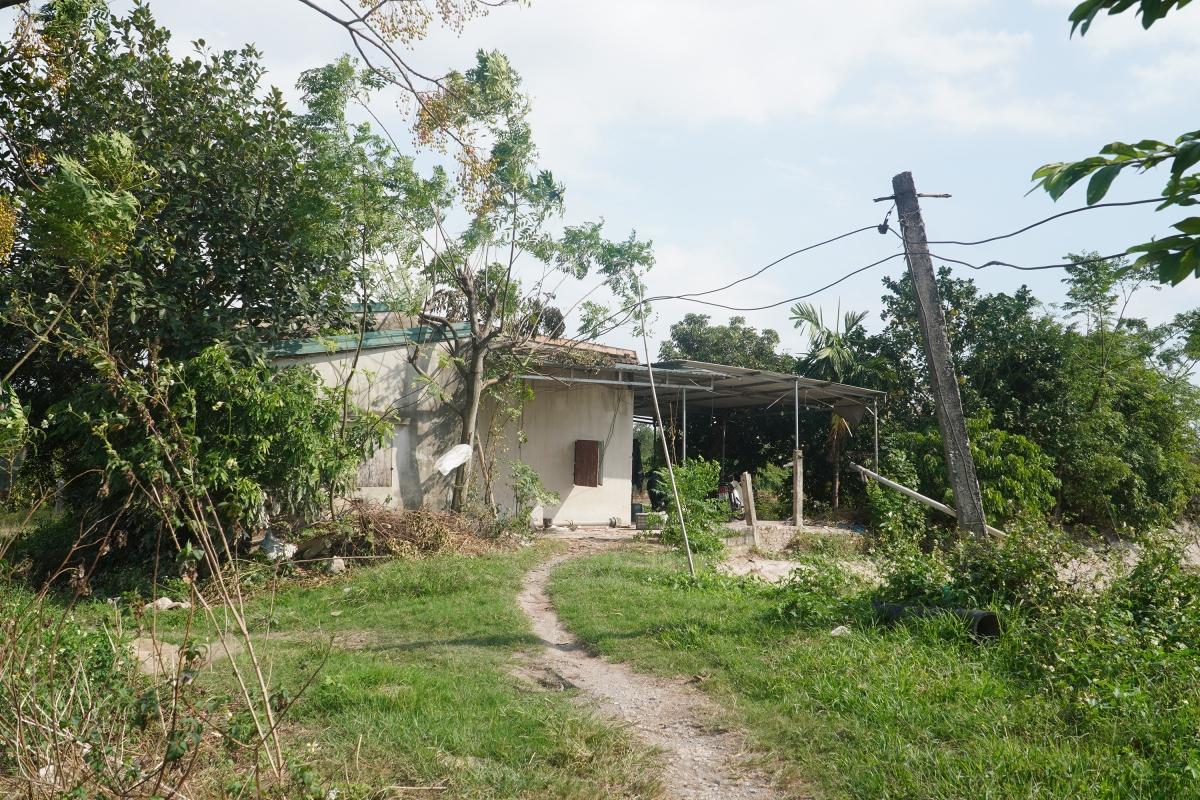 vi sao mot du an nong nghiep khong duoc huong chinh sach boi thuong khi thu hoi hinh anh 1