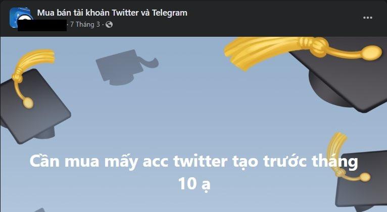 Hậu quả khôn lường khi bán tài khoản Zalo, Tiktok, Twitter... với giá lên đến 800.000 đồng - Ảnh 2.