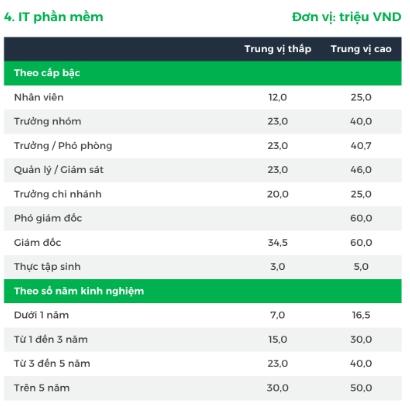 “Vua của mọi ngành” có lương  đến 60 triệu ở Việt Nam, nhưng hơn 200.000 nhân sự toàn cầu lại rơi vào “khốn đốn”: Thời hoàng kim liệu đã qua? - Ảnh 2.