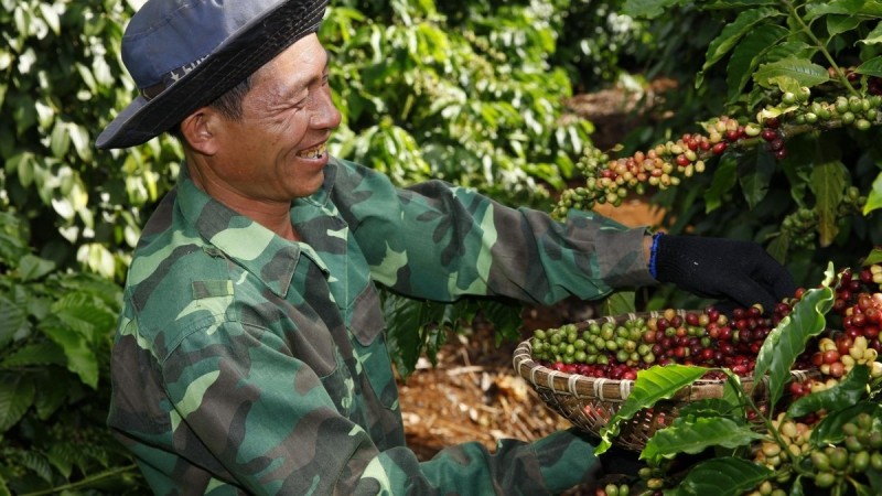 Hiệp định EVFTA: “Đòn bẩy” cho xuất khẩu cà phê vào EU