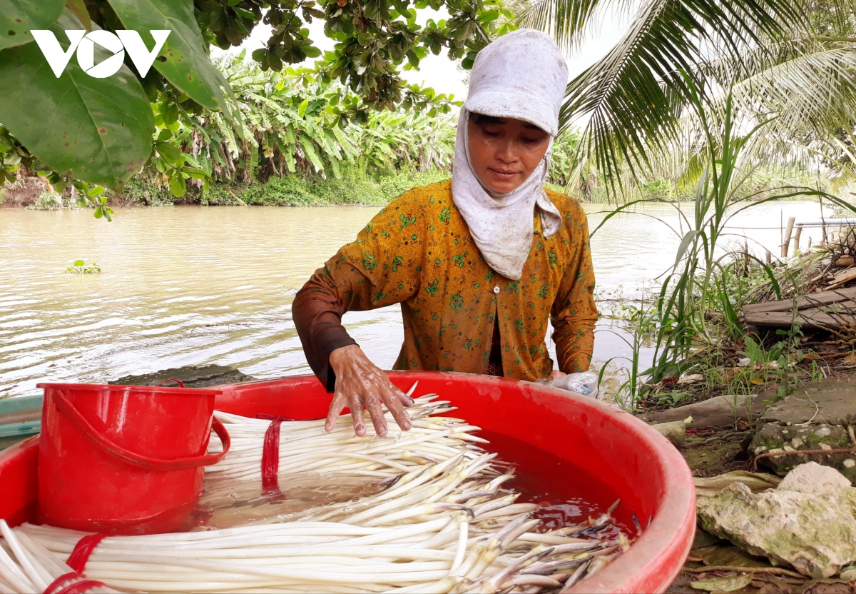 nhieu mo hinh kinh te hieu qua cua phu nu khmer soc trang hinh anh 1