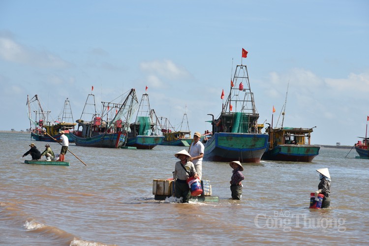 Nam Định: Sốc với giá hải sản rẻ bất ngờ tại chợ cá Giao Hải