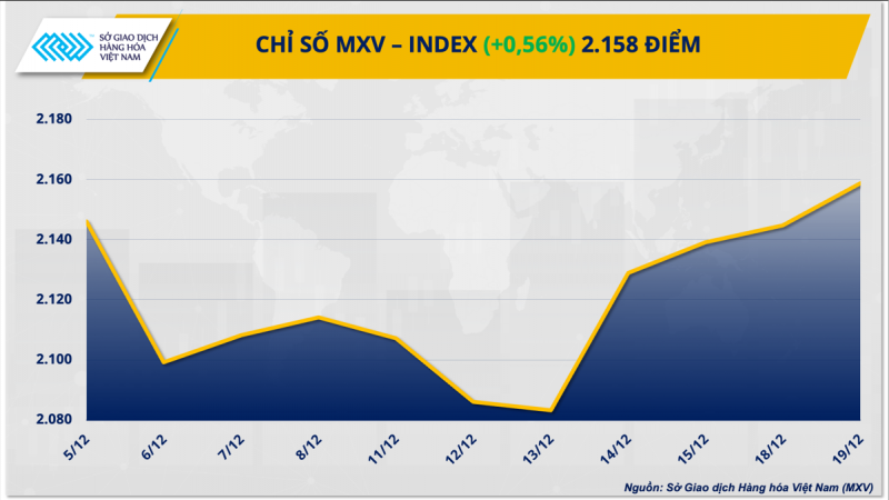 Thị trường hàng hoá hôm nay 19/12/2023: Đồng USD suy yếu hỗ trợ giá kim loại quý tăng