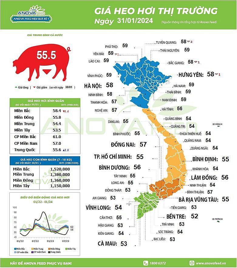 Giá heo hơi thị trường ngày 31/1/2024