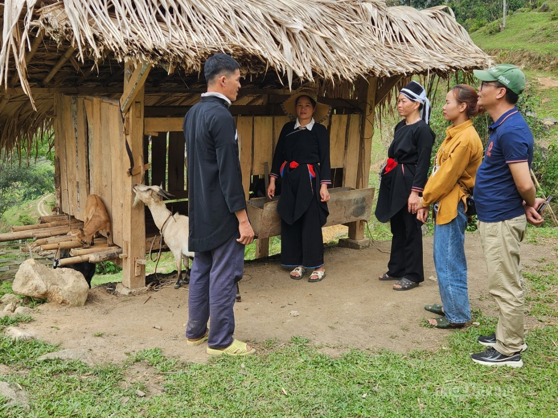 Hà Giang: Hiệu quả từ các mô hình kinh tế do phụ nữ làm chủ