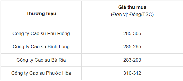 Giá cao su ngày 21/5/2024: Tiếp đà tăng mạnh, giá neo cao chưa từng thấy