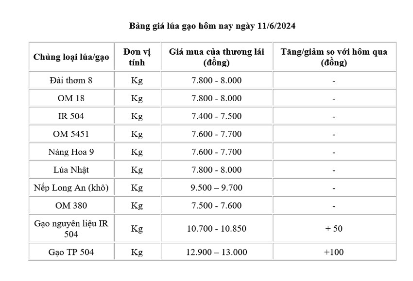 Giá lúa gạo hôm nay ngày 11/6/2024: Giá gạo tăng nhẹ