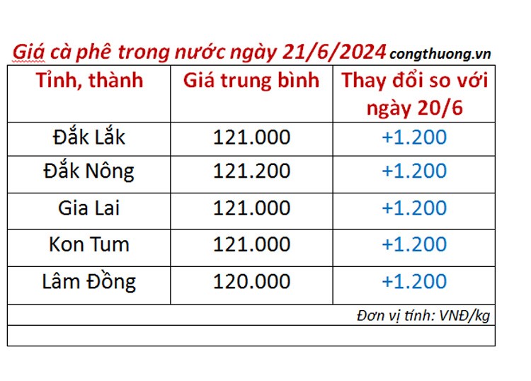 Giá cà phê hôm nay 21/6/2024: Giá cà phê trong nước