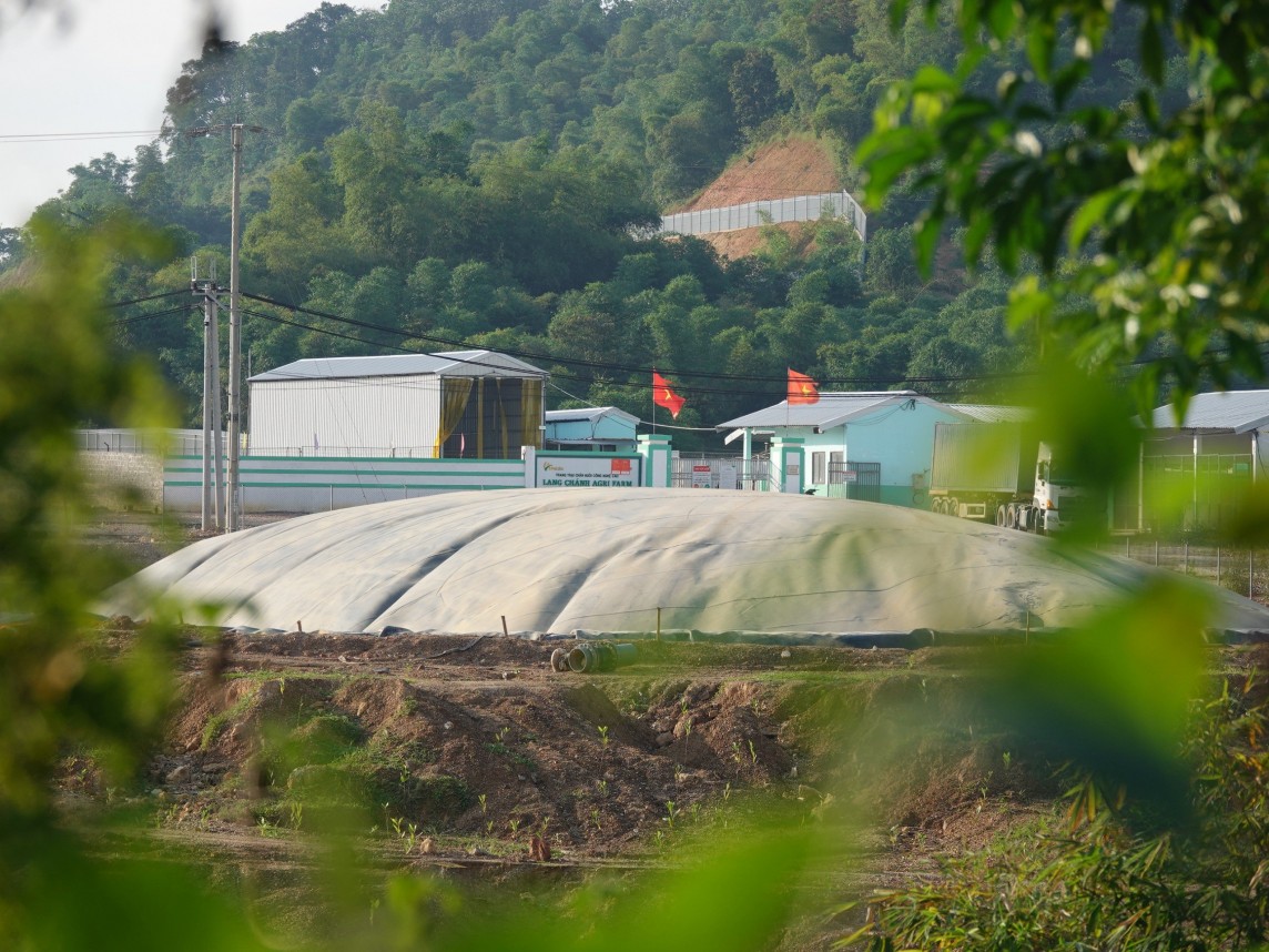 Thanh Hóa: Đình chỉ hoạt động trang trại lợn gây ô nhiễm môi trường