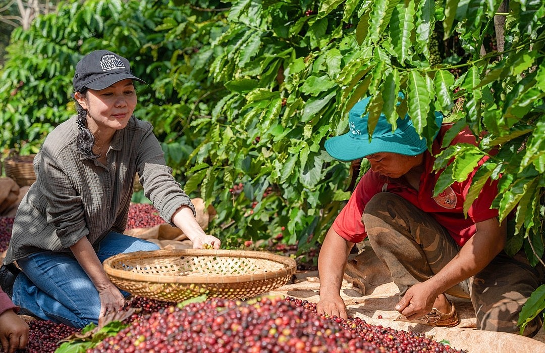 Thị trường cà phê trong nước