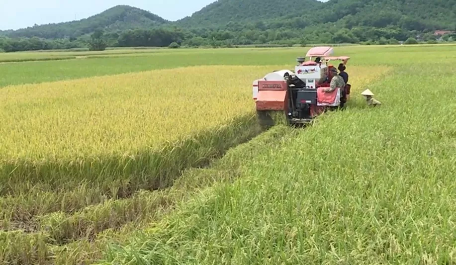 Thanh Hóa phòng chống dịch sau lũ và ứng phó với áp thấp nhiệt đới có khả năng mạnh lên thành bão