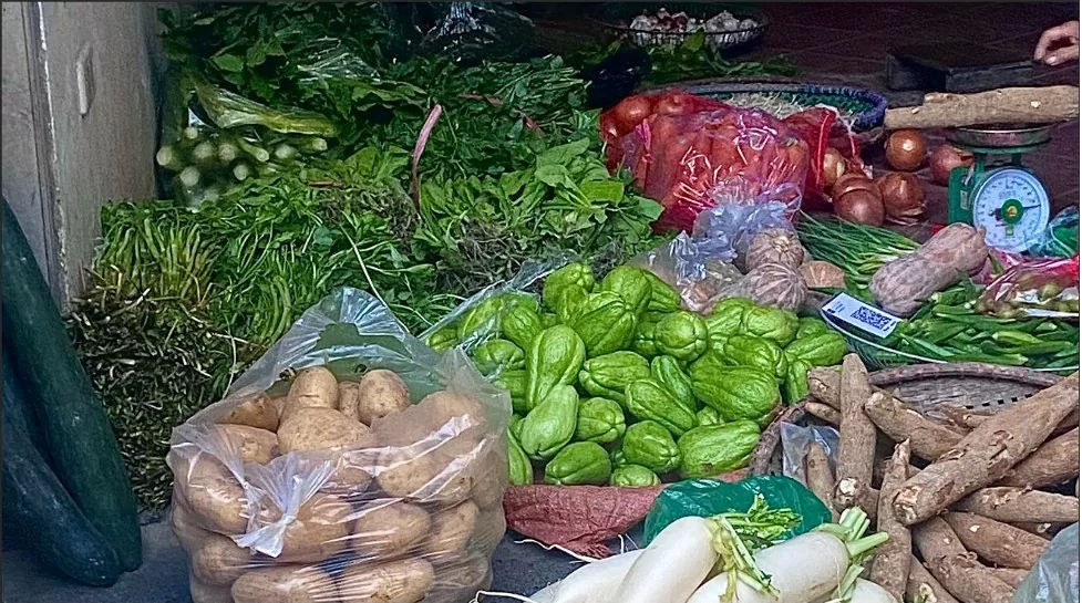 Hà Nội: Giá rau xanh 'hạ nhiệt', người tiêu dùng phấn khởi Hà Nội: Giá rau xanh 'hạ nhiệt', người tiêu dùng phấn khởi