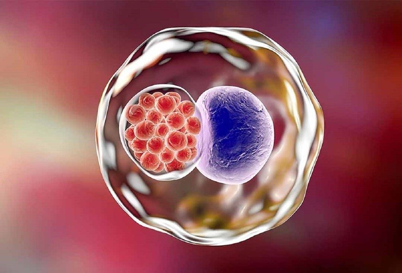 Đau mắt hột do vi khuẩn Chlamydia Trachomatis. benh-mat-hot-hoc-duong-1.jpg