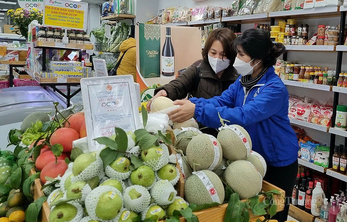 Ngành Công Thương Hà Nội: Hỗ trợ xây dựng chuỗi sản xuất, cung ứng trái cây an toàn Ngành Công Thương Hà Nội: Hỗ trợ xây dựng chuỗi sản xuất, cung ứng trái cây an toàn