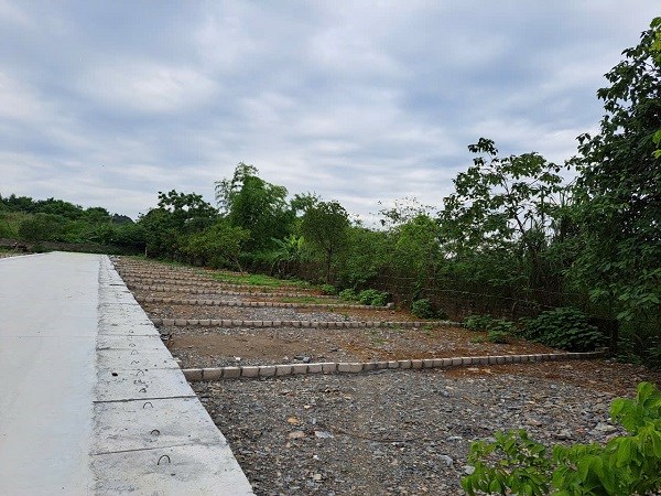 Giá đất nền tăng mạnh, nhà đầu tư khó chốt lời vì pháp lý