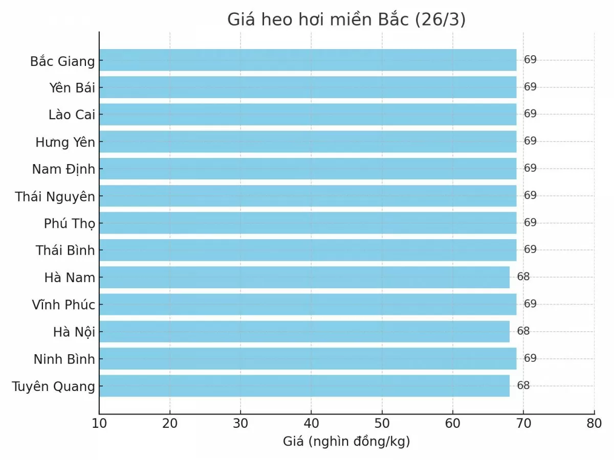 Biểu đồ giá heo hơi tại các tỉnh miền Bắc ngày 26/3. Biểu đồ giá heo hơi tại các tỉnh miền Bắc ngày 26/3.