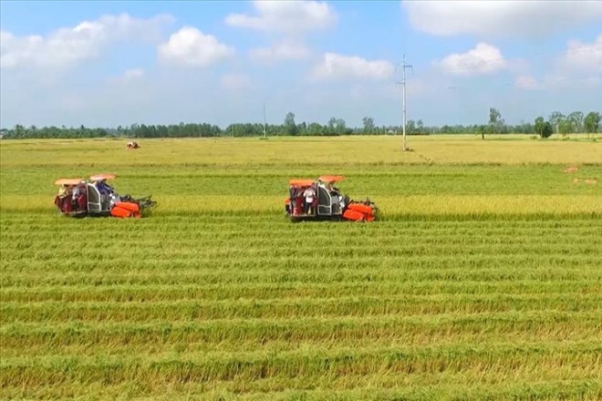 Giá đền bù đất nông nghiệp không có giấy tờ khi thu hồi 2025
