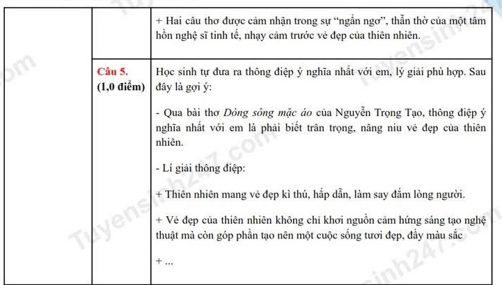 Đáp án tham khảo môn Ngữ văn thi vào lớp 10 tỉnh Sóc Trăng năm 2025. Ảnh: Tuyensinh247