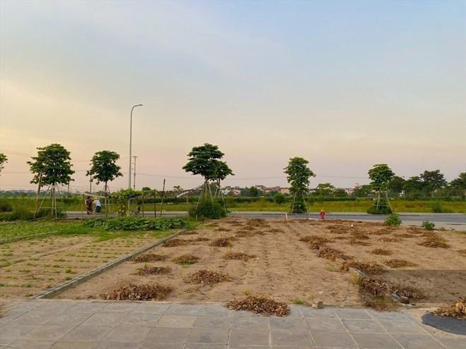 Thị trường đất nền